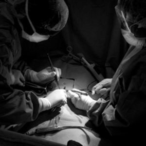 Meet your Posher, Beverly